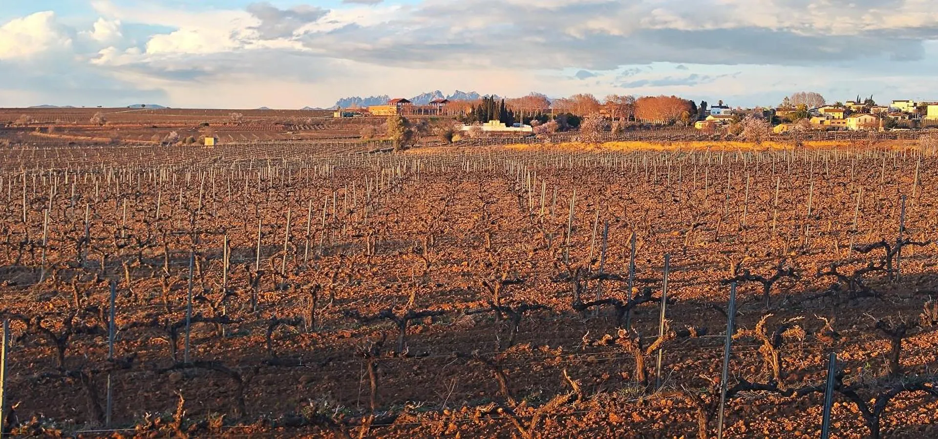 Дом отдыха Вилла Cal Llop Sant Cugat de Sesgarrigues Испания